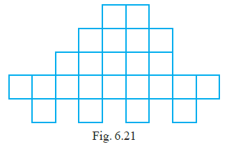 Page 102 Chapter 6 Class 6th NCERT Exemplar